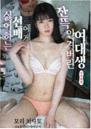 黑金完整版综合合集封面
